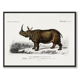 Rhinoceros - Historly AB