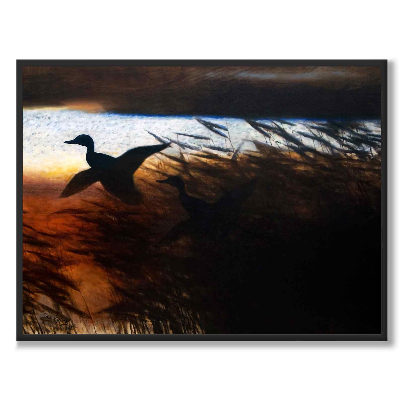 Sommernatt Ducks Lifting