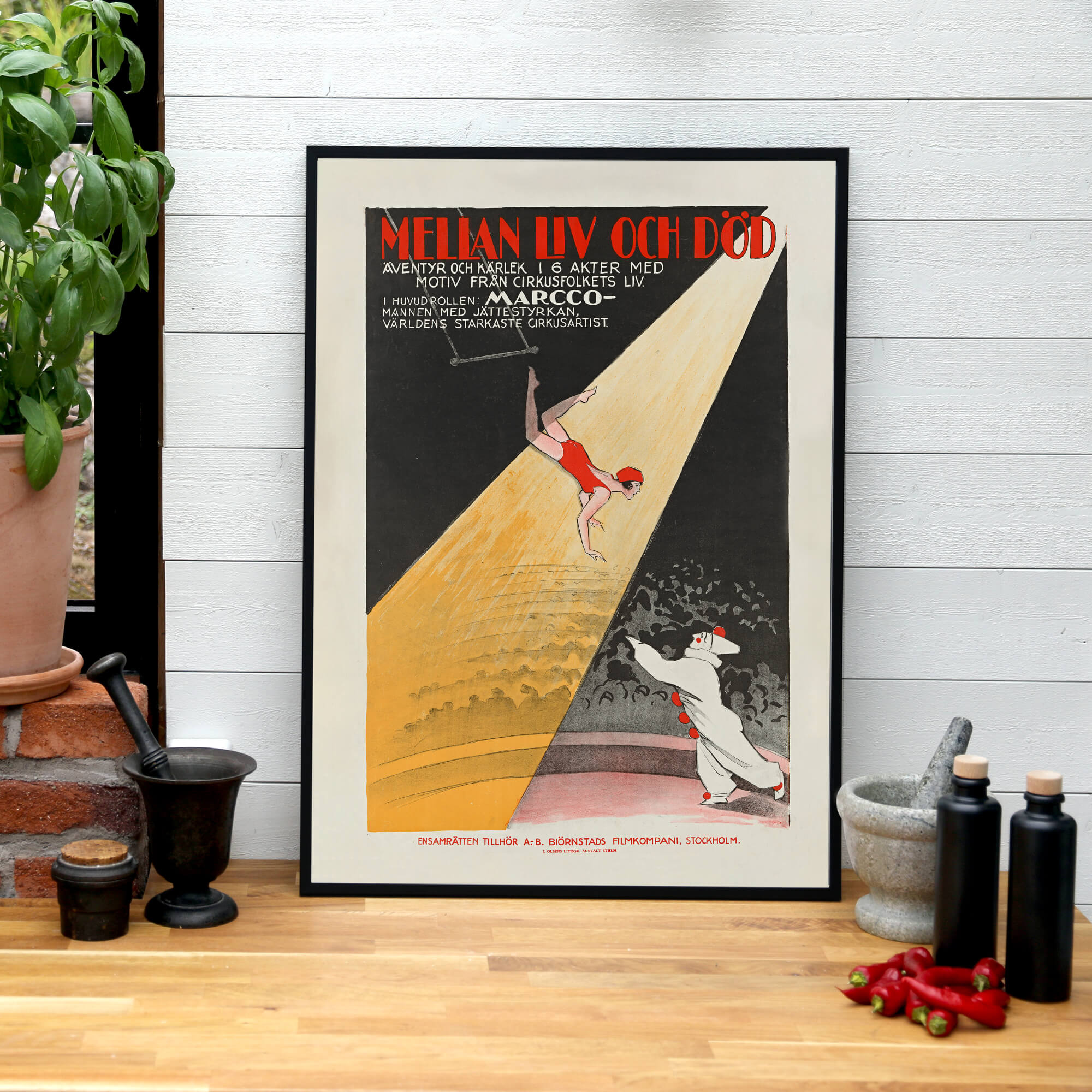 Mellan Liv och Död - Historly AB